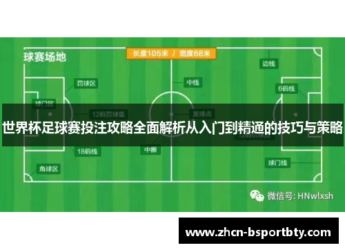 世界杯足球赛投注攻略全面解析从入门到精通的技巧与策略