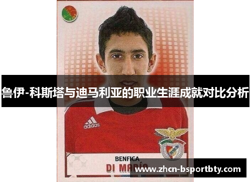 鲁伊-科斯塔与迪马利亚的职业生涯成就对比分析
